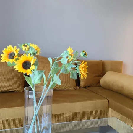 Apartment Thalori *